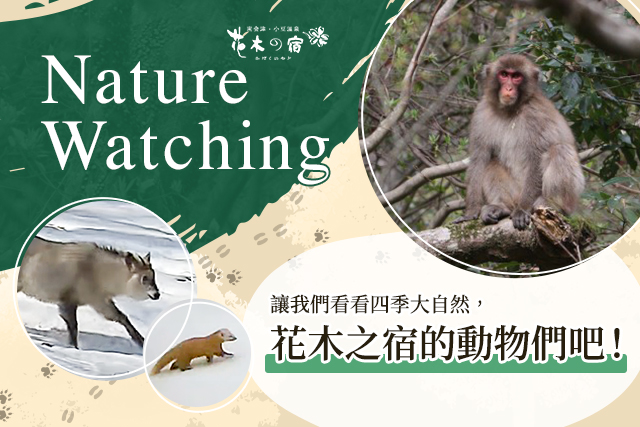 觀察大自然 圖像
